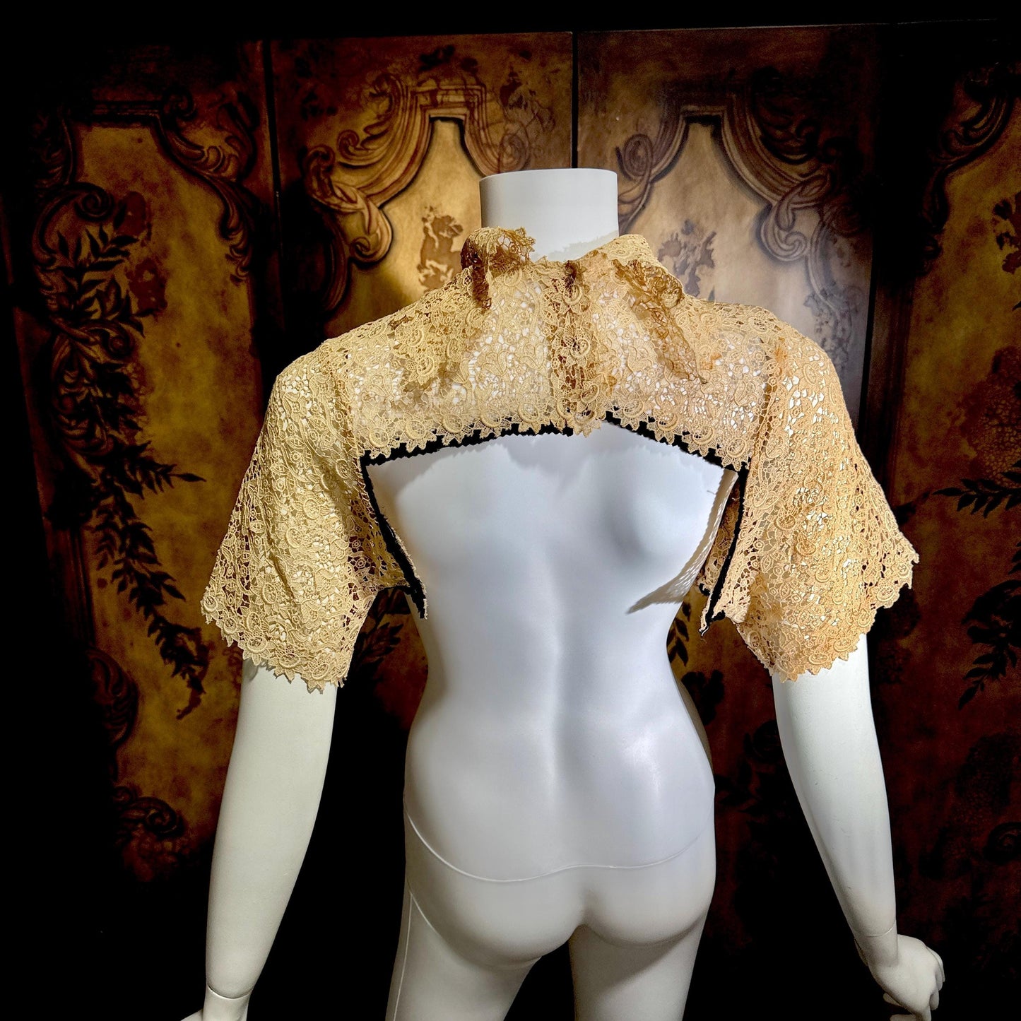 1900s Antique Vintage Lace Collar, High neck with sleeves