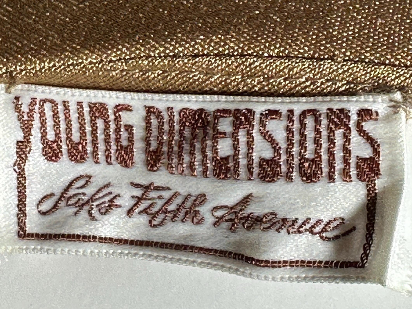 YOUNG DIMENSIONS SAKS Fifth Ave, vintage 1970s evening dress, Bronze slinky metallic knit maxi slip dress, Disco party cocktail dress