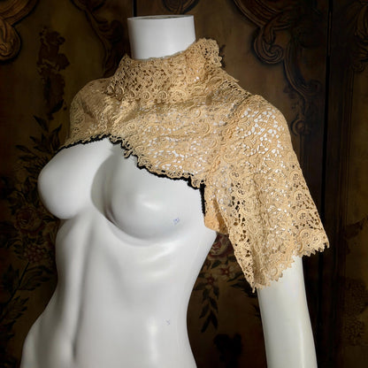 1900s Antique Vintage Lace Collar, High neck with sleeves