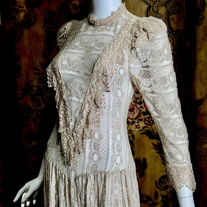1980s Vintage evening dress, taupe crochet lace see through victorian style dress