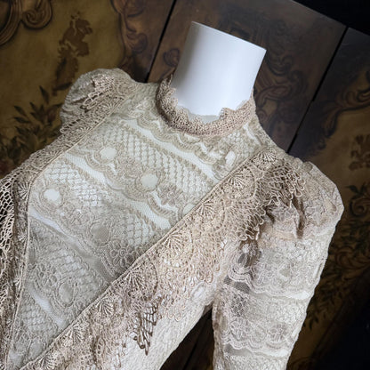 1980s Vintage evening dress, taupe crochet lace see through victorian style dress