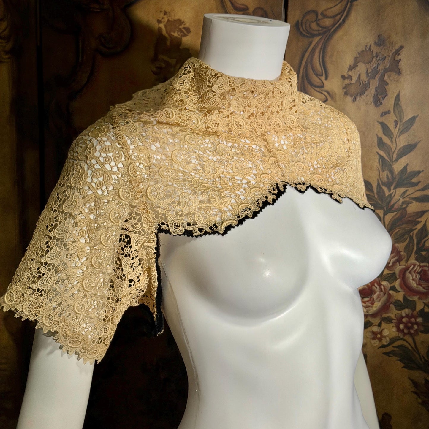1900s Antique Vintage Lace Collar, High neck with sleeves