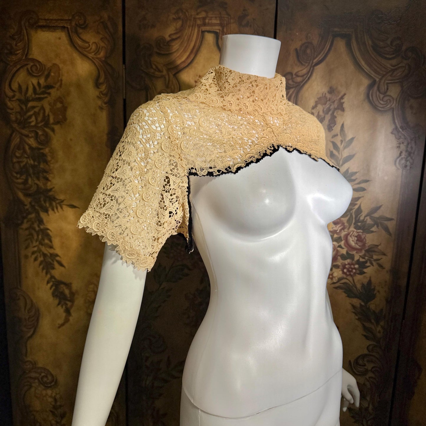 1900s Antique Vintage Lace Collar, High neck with sleeves