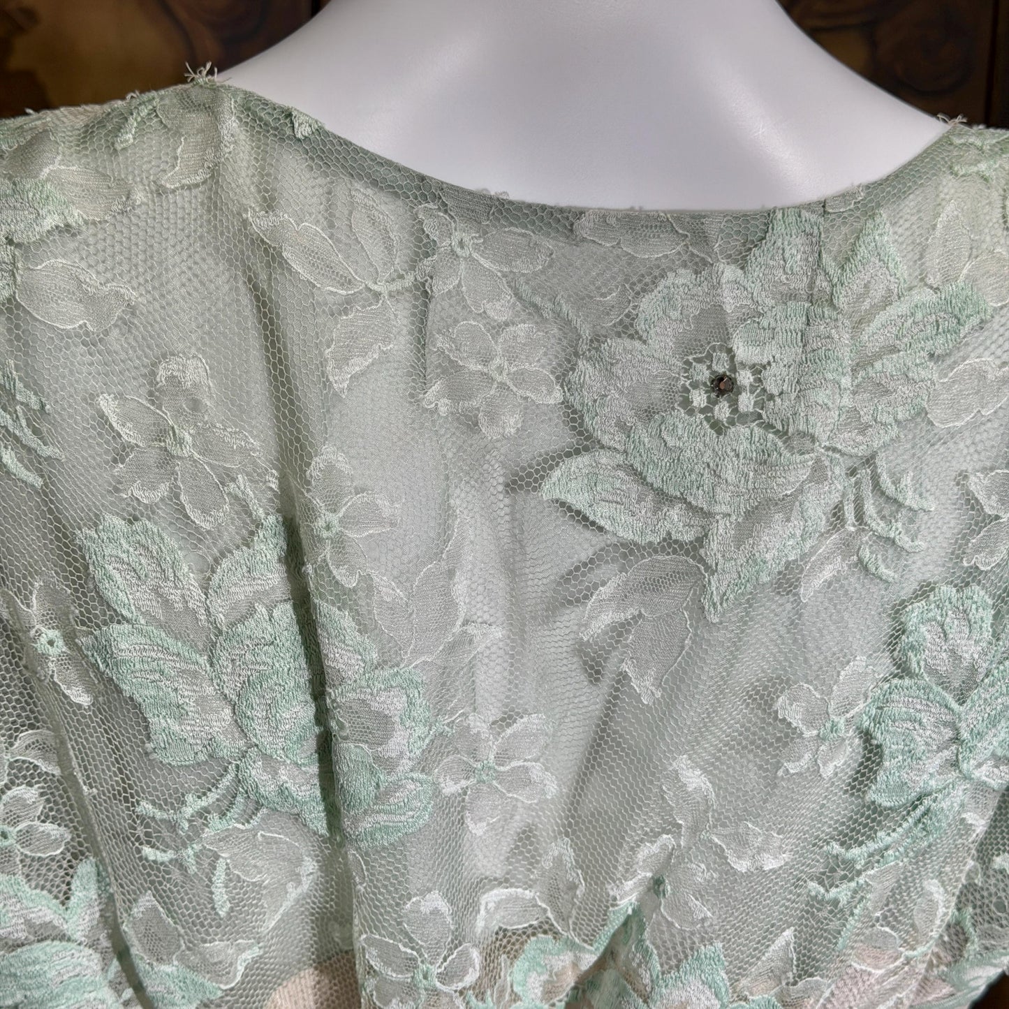1930s Vintage Evening dress gown, Green Pink Organza Lace gown, Large