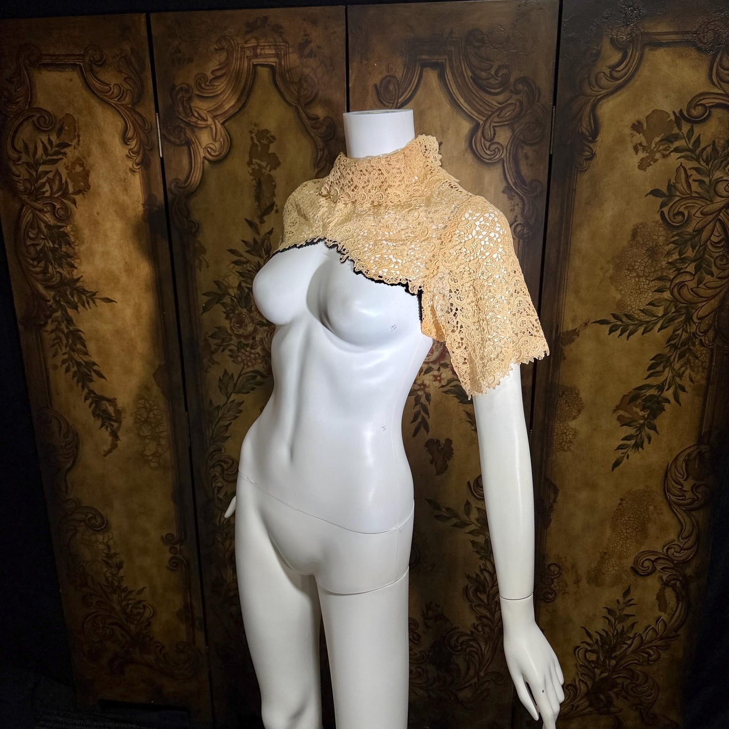 1900s Antique Vintage Lace Collar, High neck with sleeves