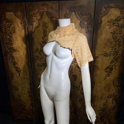 1900s Antique Vintage Lace Collar, High neck with sleeves